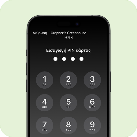 PIN transaction protection